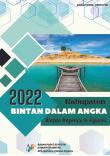 Kabupaten Bintan Dalam Angka 2022