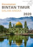 Bintan Timur Subdistrict In Figures 2020