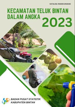 Kecamatan Teluk Bintan Dalam Angka 2023