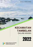 Kecamatan Tambelan Dalam Angka 2022